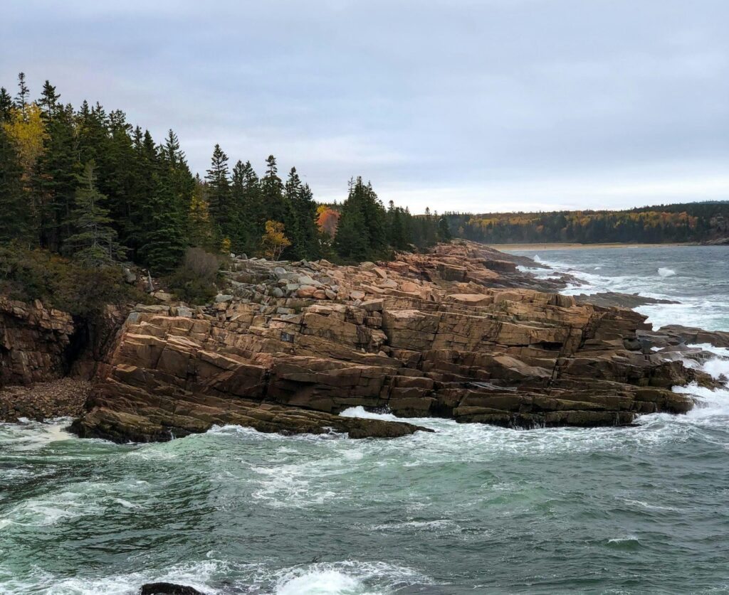 Image for Unit 4.3 Earth Processes