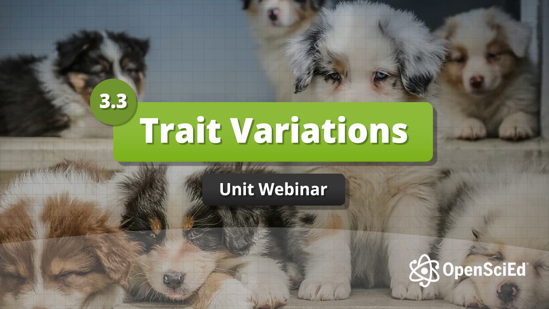 Unit 3.3 Trait Variations Webinar - OpenSciEd